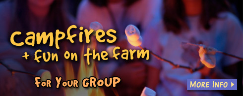 Campfires for groups