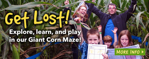 Giant Corn Maze - Gobles, MI