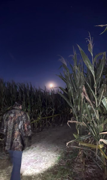 Flashlight nights in the corn maze at Harvest Moon Acres (Gobles, MI)