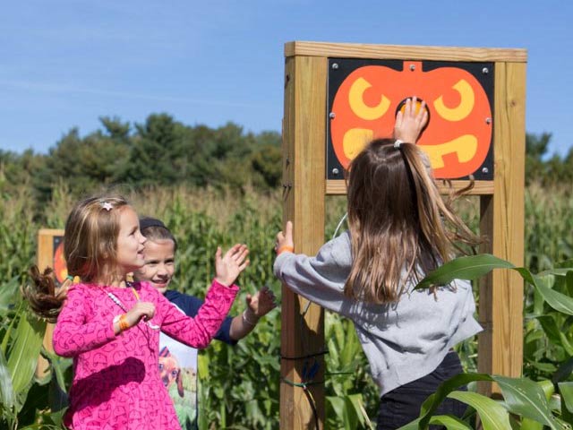 New Punchin' Pumpkin game at Harvest Moon Acres (Gobles, MI)