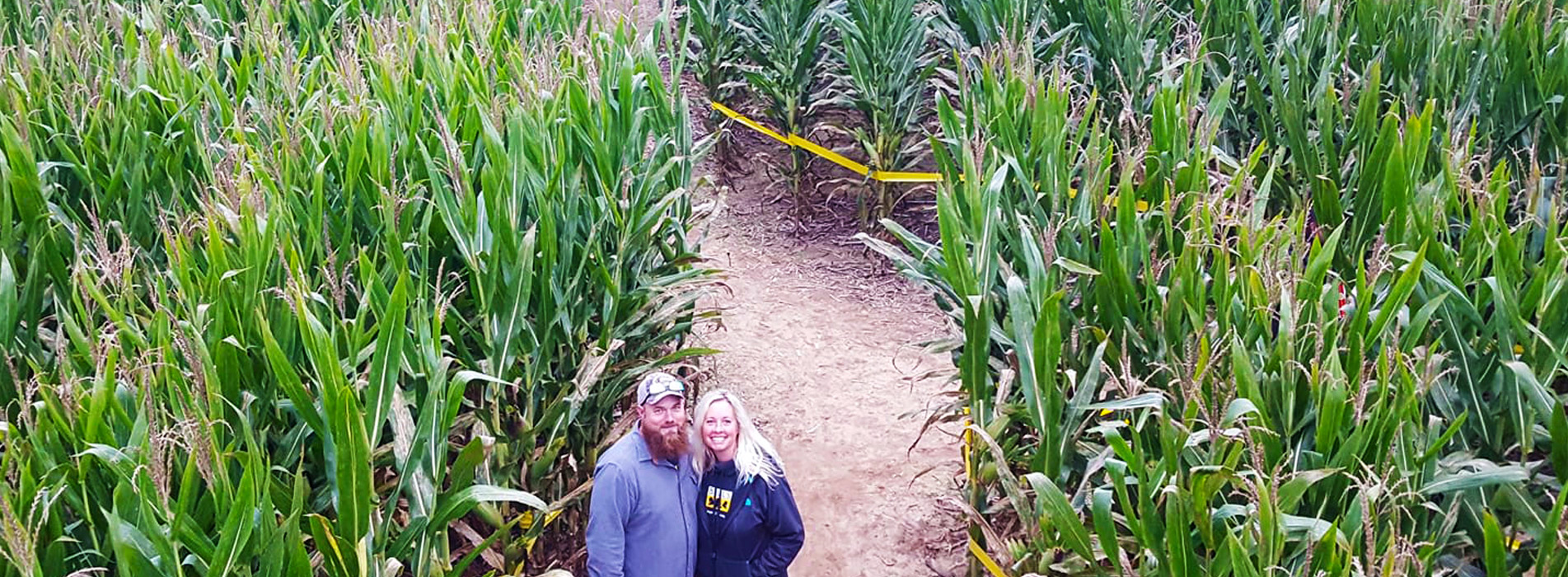 Giant corn maze at Harvest Moon Acres (Gobles, MI)