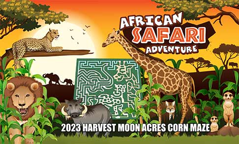 2023 African Safari Adventure corn maze theme at Harvest Moon Acres (Gobles, MI)