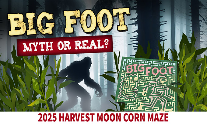 2025 Bigfoot corn maze theme at Harvest Moon Acres (Gobles, MI)